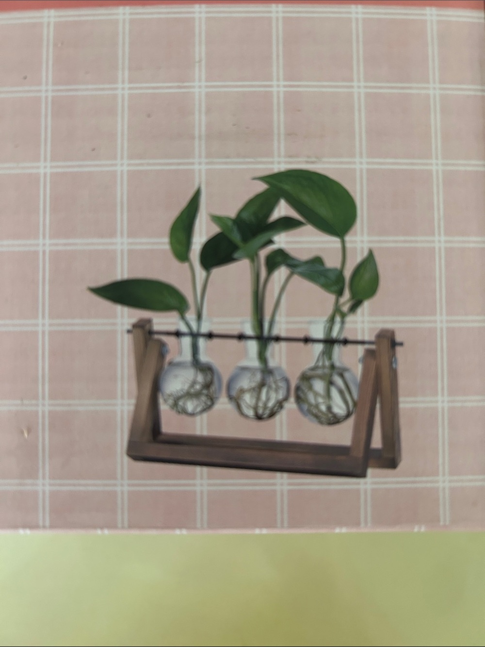 Triple Glass Bulb Plant Propagation Station with Brown Wood Frame